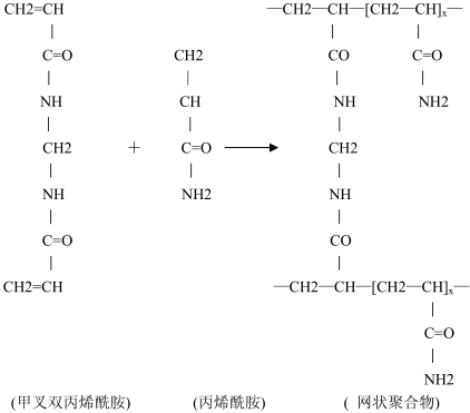 SDS-PAGE聚合