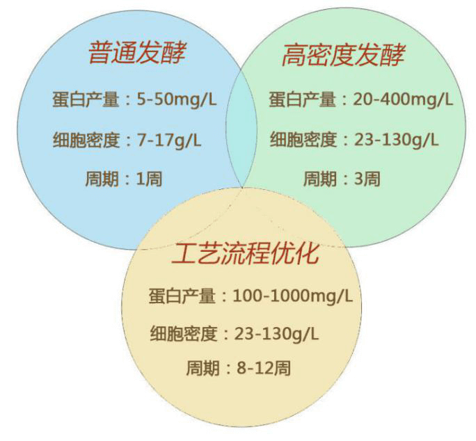 蛋白发酵技术对比