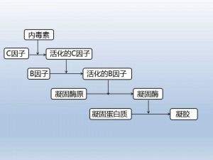 内毒素检测流程图