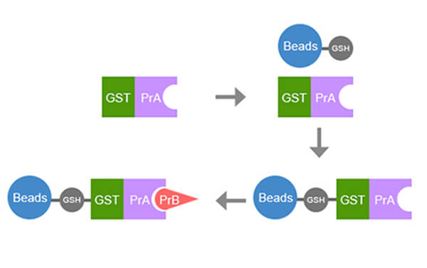 gst-pull-down