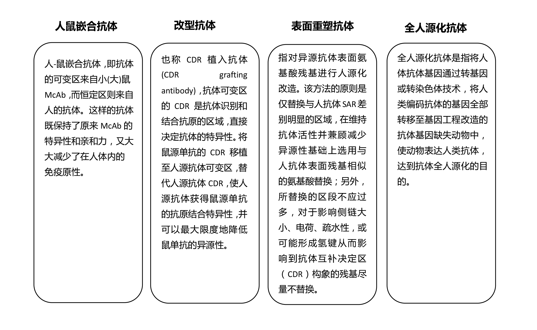 人源化抗体