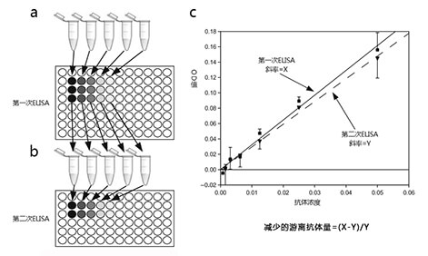 竞争ELISA测抗体亲和力预实验流程