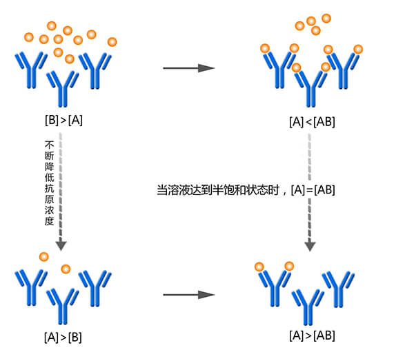 竞争ELISA测抗体亲和力原理