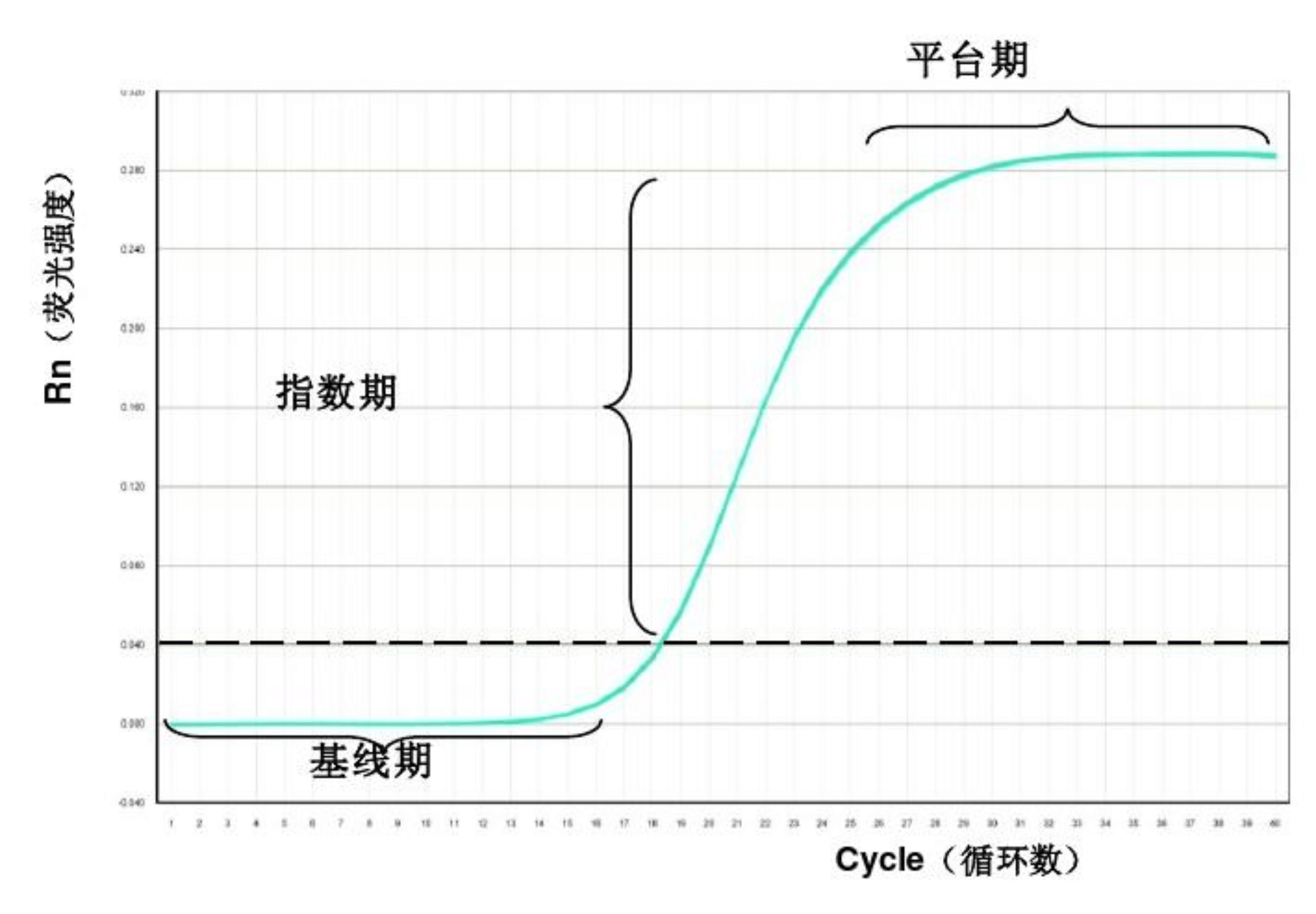 荧光定量PCR扩增曲线