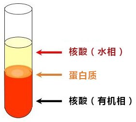 质粒抽提