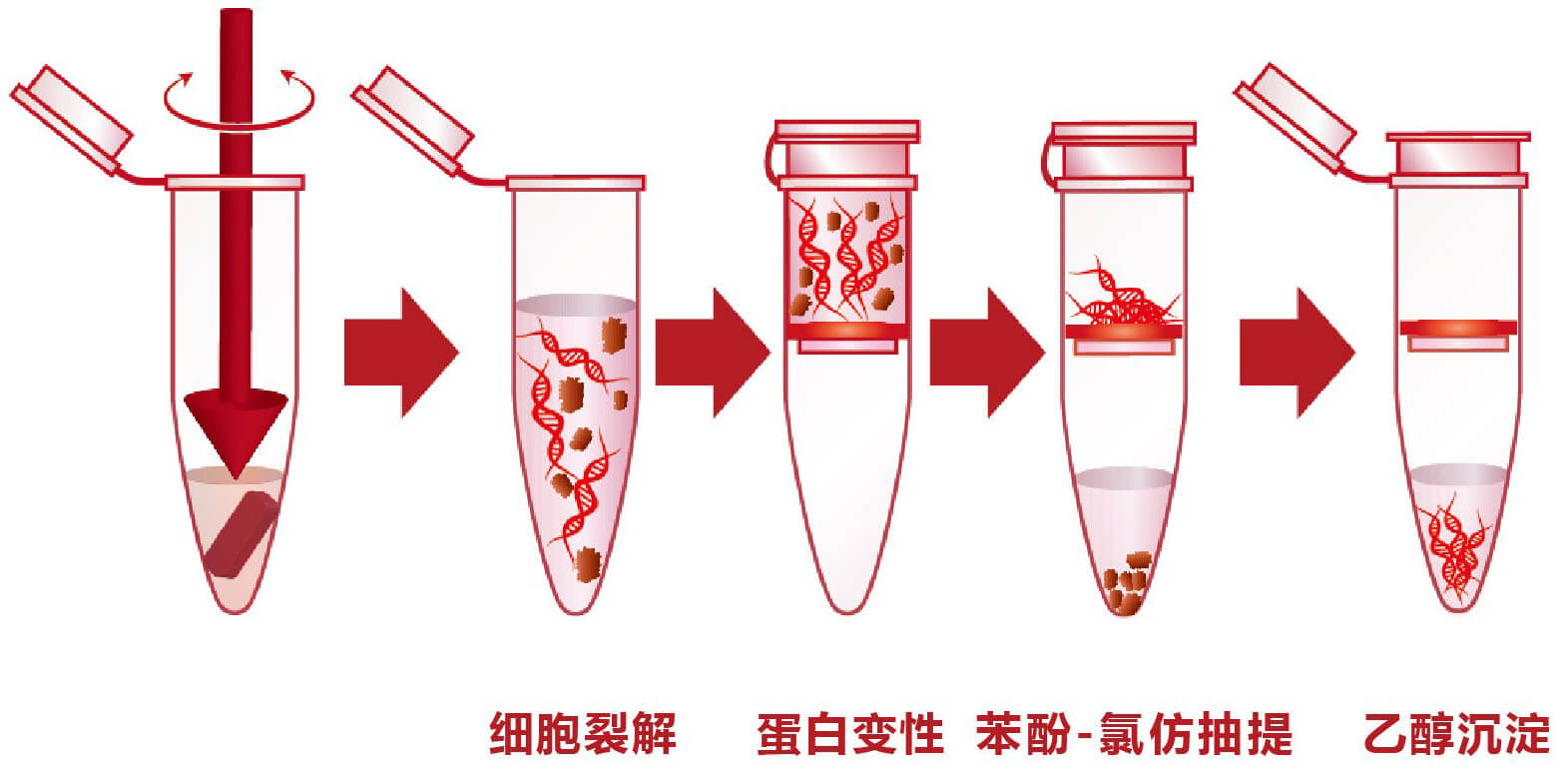 模板制备步骤